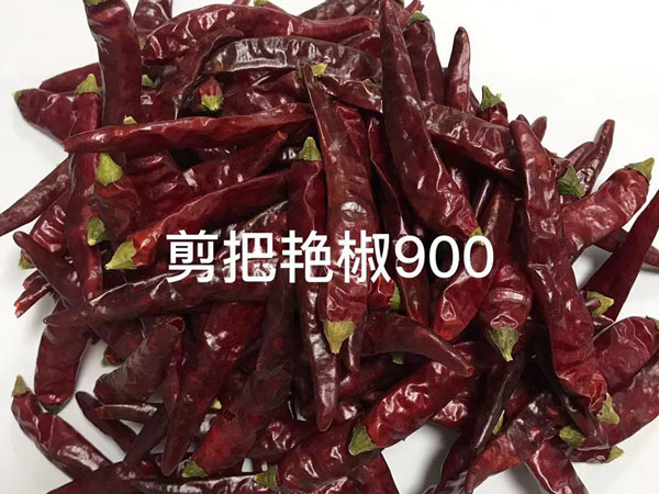 剪把艷椒900