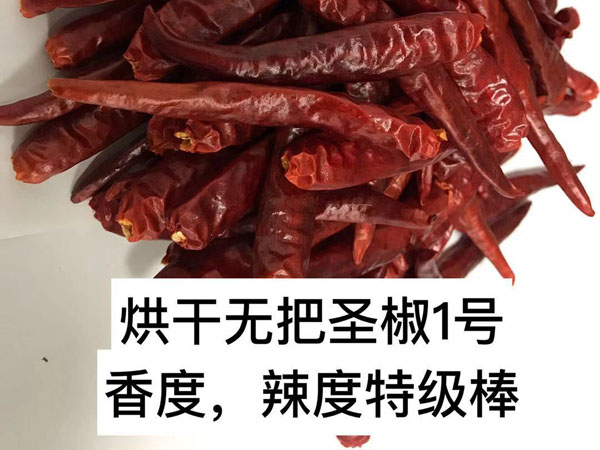圣椒1號